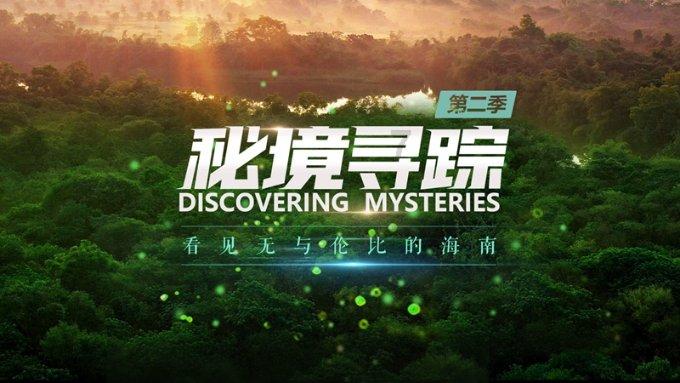见缝射箭