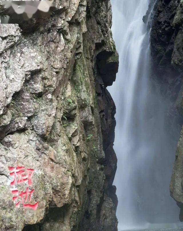 园区常见的虫害可以按危害方式不同进行大体分类？游戏画面